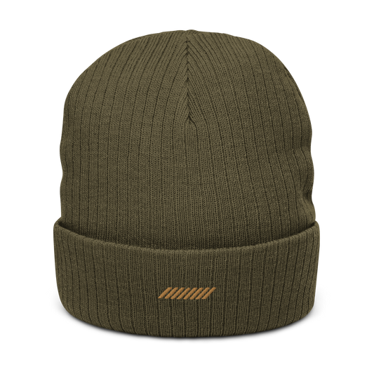 Quantm Ribbed Knit Beanie